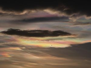 Supporting image for story: Ozone layer breakdown ’caused extinction event 360 million years ago’