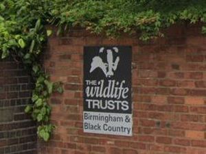 Supporting image for story: Explore your local green space and raise money for nature projects in Wild Walk Week