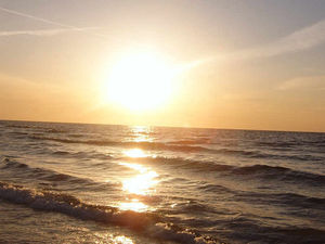 Supporting image for story: Shropshire parents hit with £50,000 fines for term time holidays