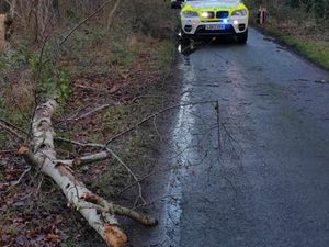 Supporting image for story: Woman airlifted with multiple injuries and hypothermia after struck by branch in Staffordshire