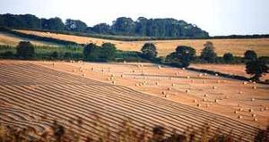 Farmland remains in demand