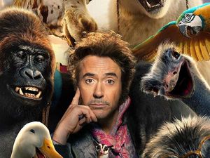 Supporting image for story: New films on the way to Wellington Orbit