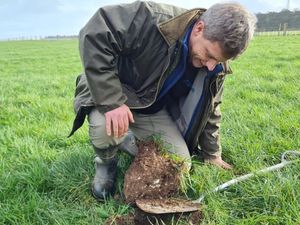 Supporting image for story: Shropshire farmers urged to build better soils to help with SFI funding 