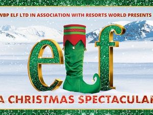 Supporting image for story: David Essex and Martine McCutcheon among stars to appear in Elf musical at Birmingham's Genting Arena
