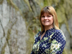 Supporting image for story: Digital marketing course to be hosted in Oswestry