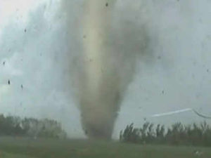 Supporting image for story: Rebels in blazers