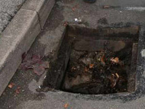 Supporting image for story: Fury as metal thieves target drain covers