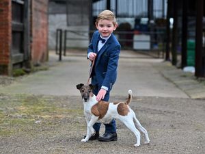 Supporting image for story: "I love dog shows and I love Penny": Freddie and family excited for big day out as Bobbington toddler and his friend Penny get ready for Crufts