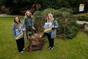 Compton Care were due to hold their \Light Up A Life\ Event this weekend but due to stormy weather they decided to postpone it. However, the Christmas Tree that they had prepared for the event was sadly blown over in the wind by the story on Saturday. In Picture L>R: Rachel Hailey, Lisa Bockhoefer and Claire Elwell.