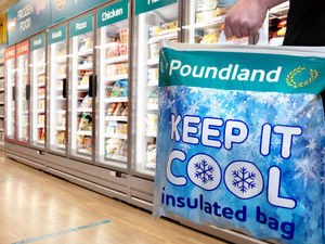 Supporting image for story: Poundland adds chill to more stores