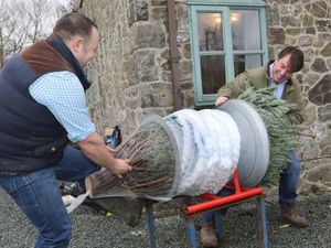 Supporting image for story: Shop local urges MP 