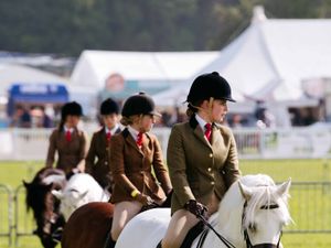 Supporting image for story: Crowds descend on the Staffordshire County Show
