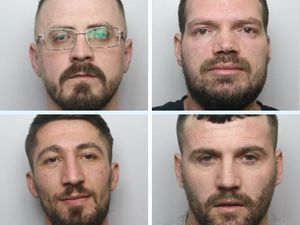 Supporting image for story: Four men jailed for growing almost 1,000 cannabis plants worth £330,000