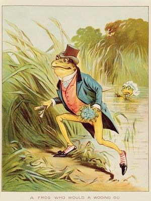 A Frog who would a wooing go