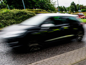 Supporting image for story: Speed limit warning after dog killed by car