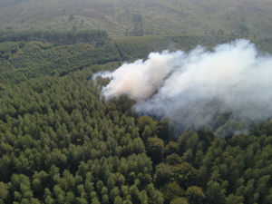 The fire which took hold at Penkridge Bank, Cannock Chase