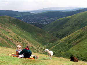 Supporting image for story: 'Green brigade' blamed for making the Long Mynd 'barren'