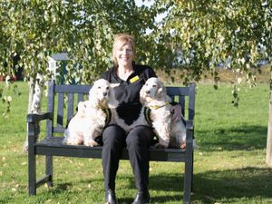 Supporting image for story: Shrewsbury dogs dream of new home for retirement