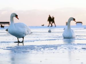 Supporting image for story: Amber weather warning for snow issued as wintry weather continues