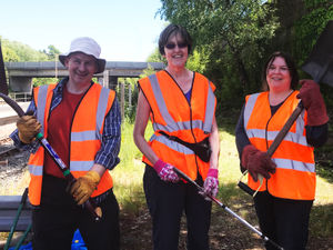 Supporting image for story: Volunteers get secret garden underway at disused land near Wellington station