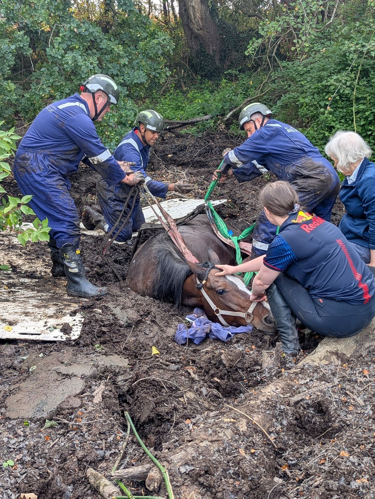 IN PICTURES: Firefighters spectacular rescue saves horse submerged in mud