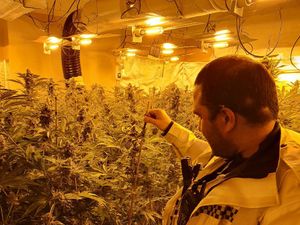 Supporting image for story: Two men arrested at huge cannabis factory in Wednesbury