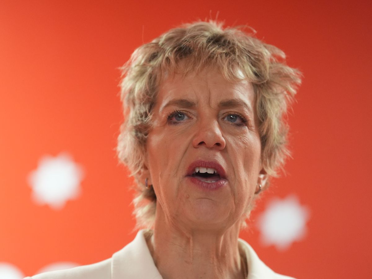 Irish Labour leader Ivana Bacik says Irish unity stance is not about Sinn Fein