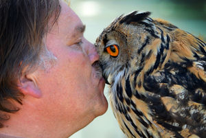 The Owl Man Karl Perry with Boo a European eagle owl at Gornal Fun Day