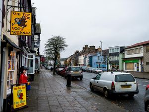 Supporting image for story: Works get underway to save town centre's trees and replace others 