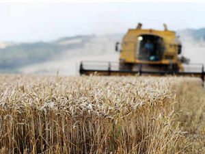 Supporting image for story: Farming Talk: Crop spraying is like Russian roulette game