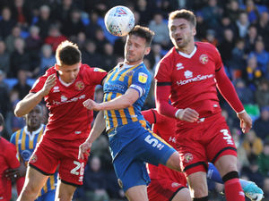 Mat Sadler played 90 times under Paul Hurst at Shrewsbury Town.  (AMA)