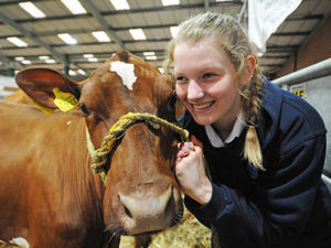 Supporting image for story: Days to go until Staffordshire County Show