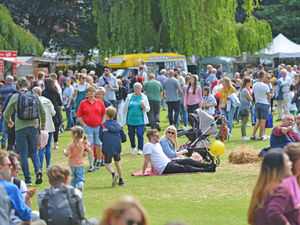 Supporting image for story: 'Best in Britain' - Balloonists heap praise on Oswestry carnival goers