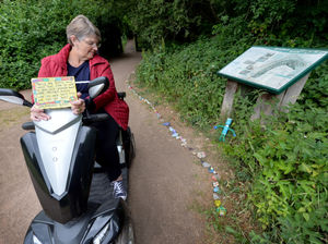 Supporting image for story: Percy the snake trail a hit with young and old - with pictures and video