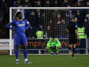 Supporting image for story: Shrewsbury Town handed Marko Marosi injury boost