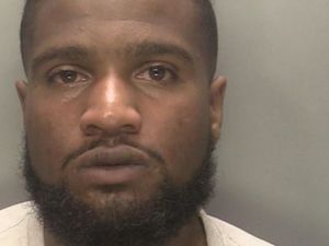 Supporting image for story: Birmingham man pleads guilty to kicking dog and racially abusing officers