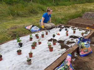 Supporting image for story: Learn how to save the insects at online event