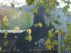 The Smethwick iron horse