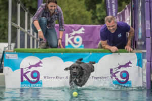DogFest. All pictures from: https://dog-fest.co.uk/cheshire