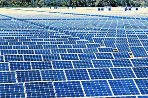 Supporting image for story: Delight as solar farms rejected