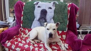 His new loving owners even made him a flag, which they now proudly fly in their garden
