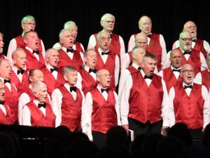 Supporting image for story: Concert is music to the ears of young singers