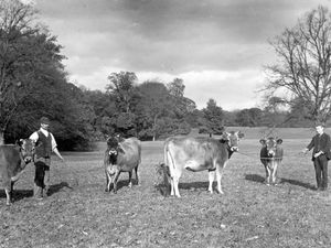 Supporting image for story: Pictures From The Past – June 28