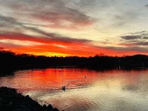 Swans under the setting sun at Priorslee Lake just off the M54, photographed by Rob Blackham