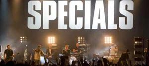 Supporting image for story: Special night from Specials band