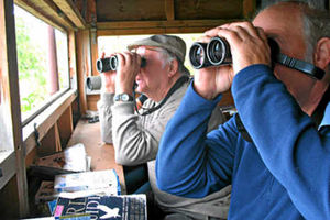 Supporting image for story: Birdwatching for beginners in the Shropshire hills