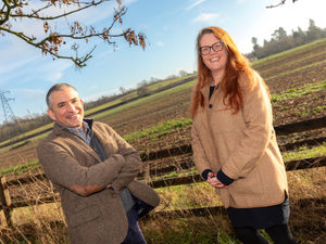 Supporting image for story: 'It’s a tremendous coup': Rural affairs specialist rejoins mfg Solicitors as a partner