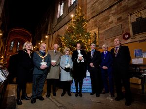 Supporting image for story: Shrewsbury Tree of Light on track to raise £6,000 for charity 