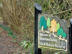 Supporting image for story: £1m plan to improve former rail line