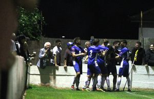 Chasetown players celebrate (Dave Birt)